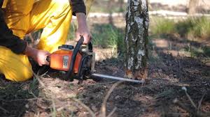 Trusted Fairfield Plantation, GA Tree Removal Experts